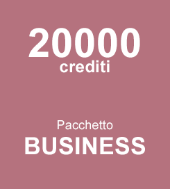 Pacchetto Business